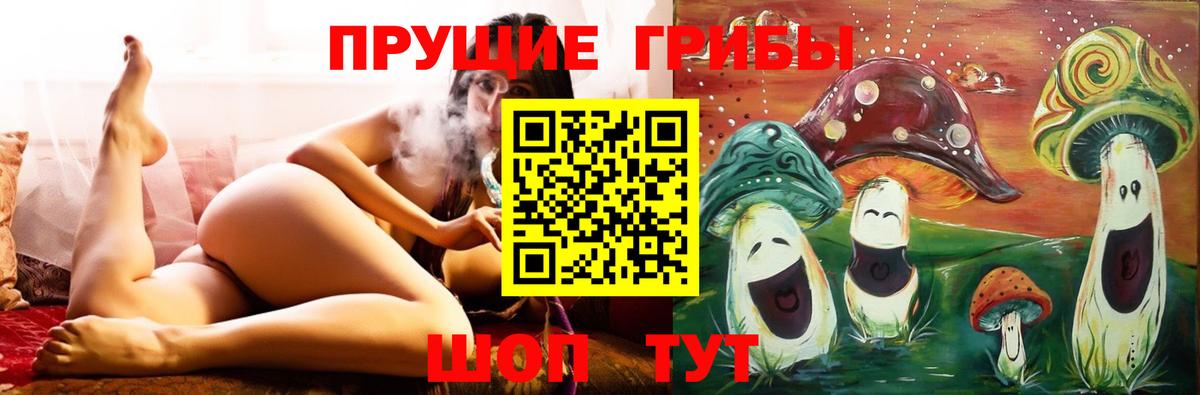Псилоцибиновые грибы мицелий Нефтекамск