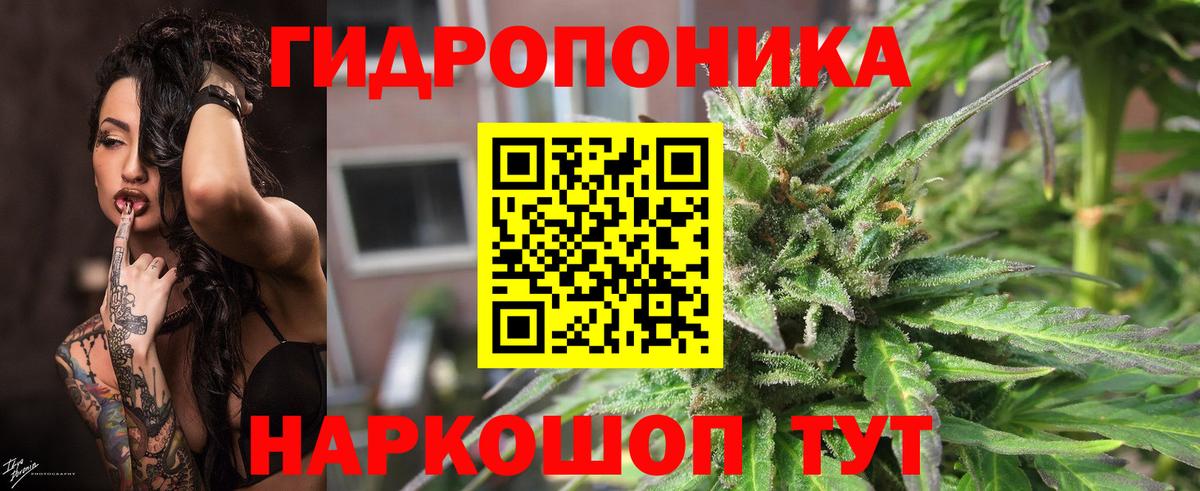 Каннабис Bruce Banner  Вход с VPN  Шишки марихуана Ganja  Нефтекамск  Конопля AK-47  Бошки марихуана сатива 